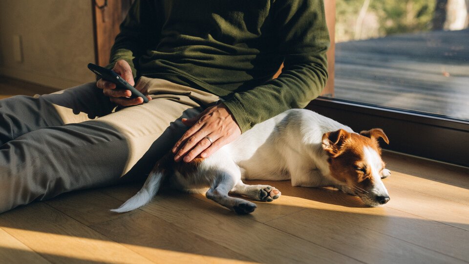 親機の呼出音やスマートフォンの着信音が鳴らないよう時間指定も可能。