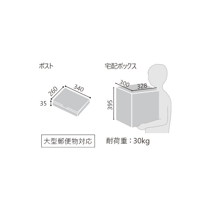 宅配ボックス Nasta Box +POST（サイズ：L 前入後出） KS-TL06TL